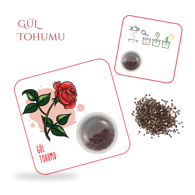 4819 - Gül Tohum Kartı